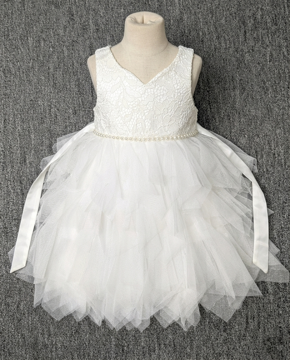 Girl's Party Frock with floral embroidery